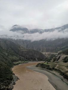 滇藏茶马古道-巴拉赫京斯基区-善良牛