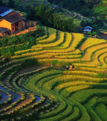 遂川游记图文-五一打卡遂川桃源梯田，总有一个地方让你心静