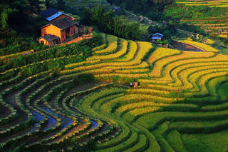 五一打卡遂川桃源梯田，总有一个地方让你心静