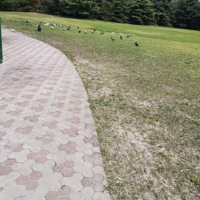 天山公园旅行图片 1