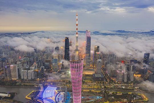 广州塔景点图片 2