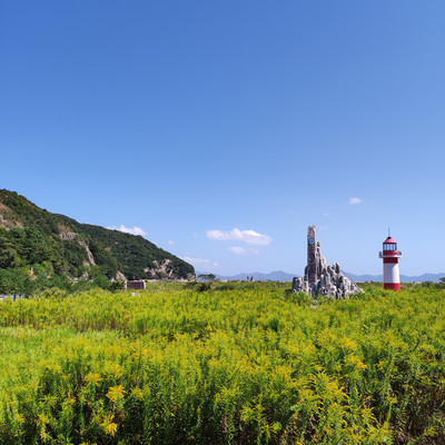 2021最新花岙岛攻略