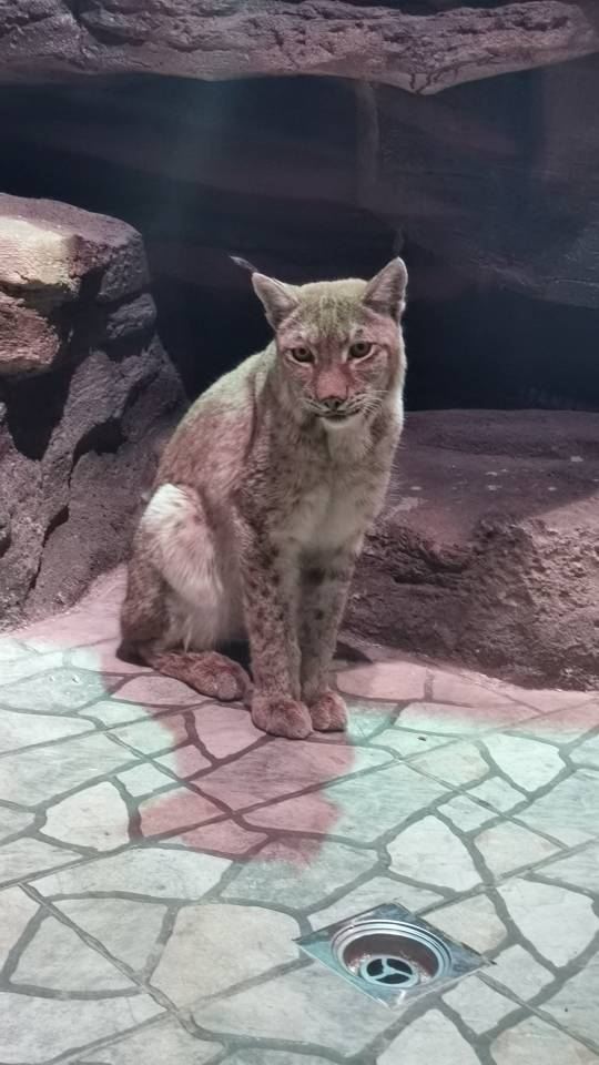 灵客欢乐动物园旅行图片 2