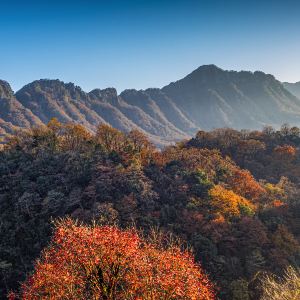 Bazhong