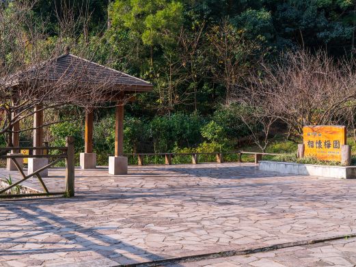 福州鼓山相怀梅园