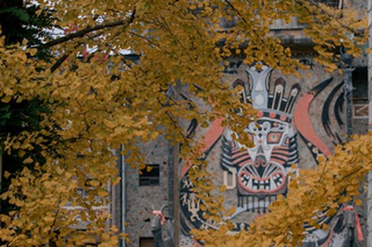 冬来秋走,在秋日的尾巴共享彩林繁华