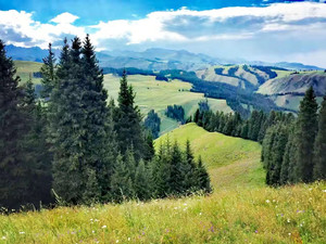 奇台游记图文-北疆环行第一站——江布拉克