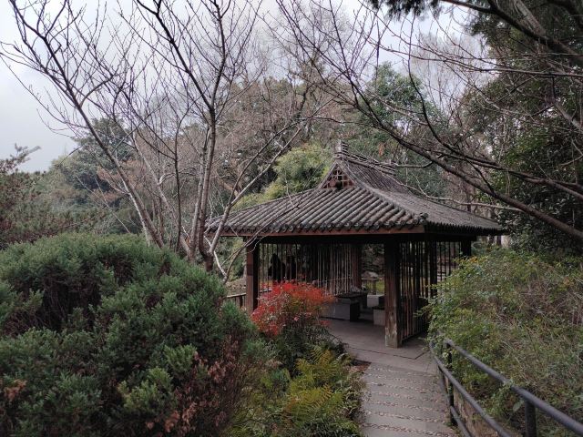 复兴岛公园旅行图片 4