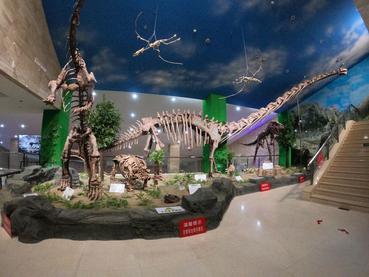 Gallery 1