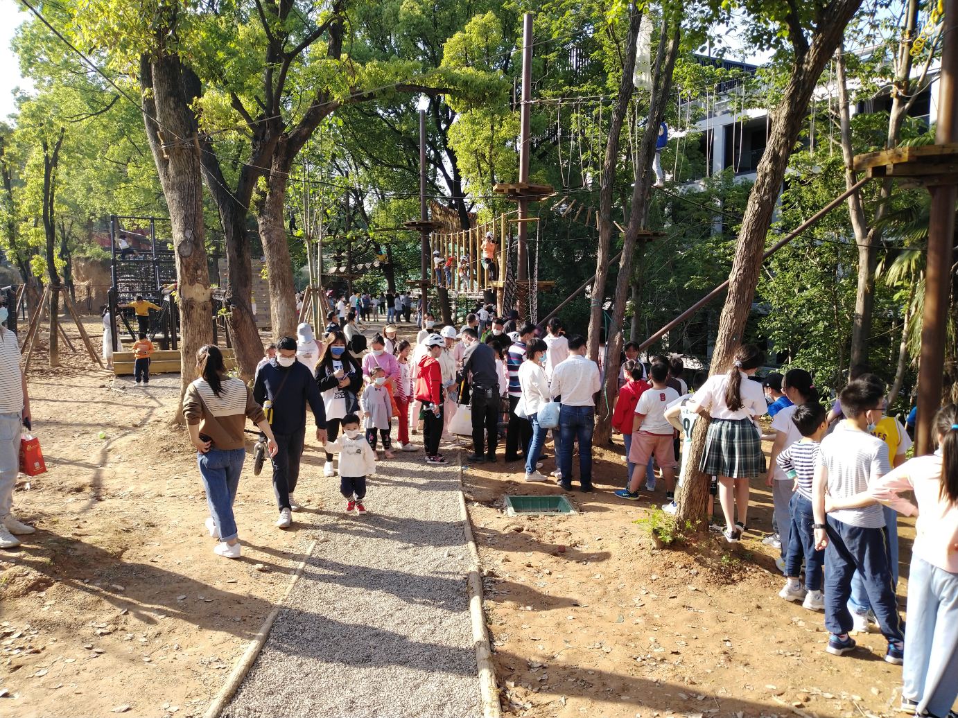 新旅·泰迪乐园