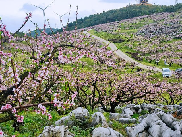 下廊村桃花溪风景区旅行图片 5