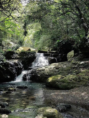 宁波夏日玩水遛娃胜地,再不来水要干没啦!