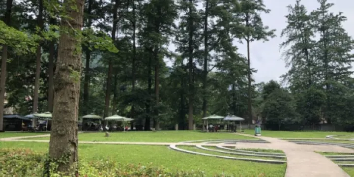 白鹿森林公園