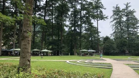白鹿森林公園