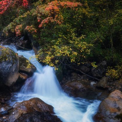 兰州+宕昌+天水+官鹅沟大景区+麦积山风景名胜区5日4晚私家团