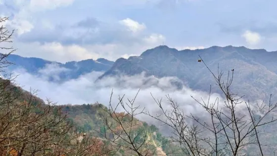湧翠台觀景點