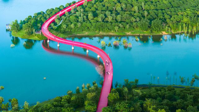 光明区虹桥公园