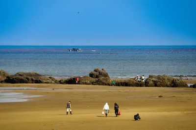 青岛赶海