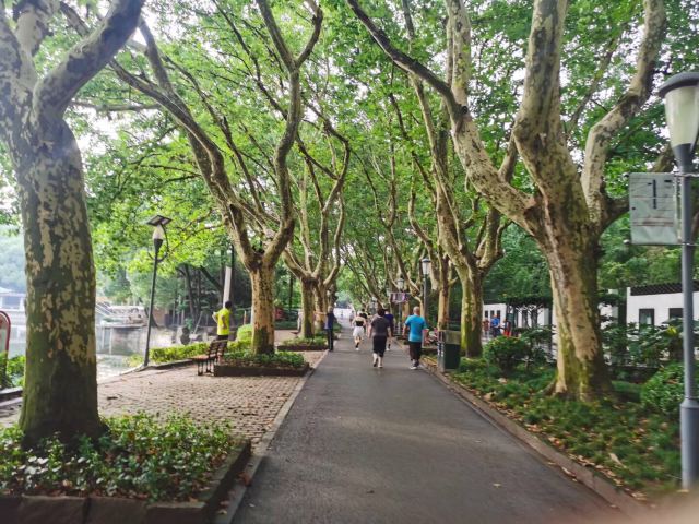 天山公园旅行图片 1