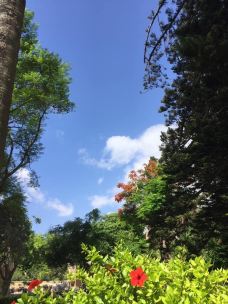 San Anton Gardens-阿塔尔德