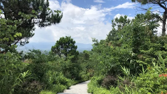 金台山森林公園