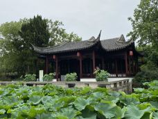 曾园赵园-常熟-梧桐雨586389