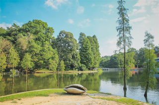 鹤山，亲子游的宝藏目的地