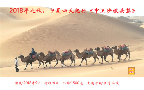 2018年之秋,宁夏四天纪行《中卫沙坡头篇》。