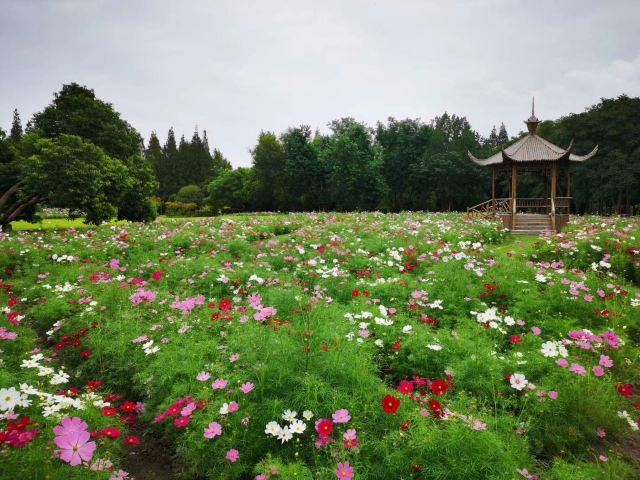 滨江大道旅行图片 1