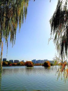 汾河公园-太原-IvanFC