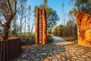 孟津游记图文-不用出省，在河南境内就可看到鸟中大熊猫，本地人都说稀有物