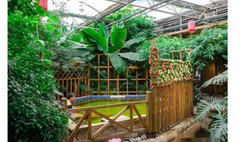 宁安游记图片] 宁安嘉禾溶洞温水世界