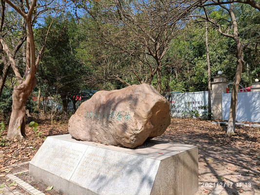 广州山头⑤火炉山及华南植物园