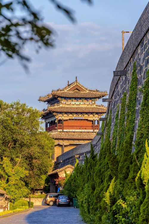 振扬门
