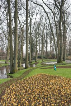 库肯霍夫公园-利瑟