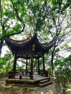 清源山-泉州-紫墨手摄