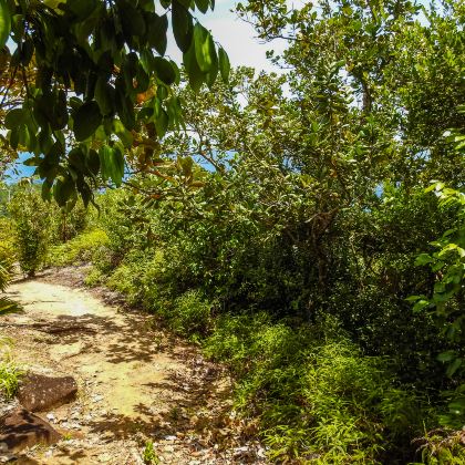 塞舌尔4日3晚拼小团