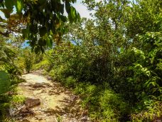 马埃岛-卡斯喀得