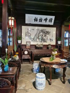 狮子林-苏州-王艳贇