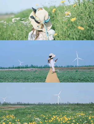 宁波端午去哪玩？来这三个颜值爆表的地方，感受初夏的味道吧！