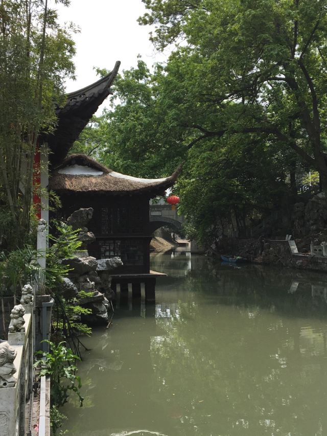 浙江乌岩岭国家级自然保护区旅行图片 2