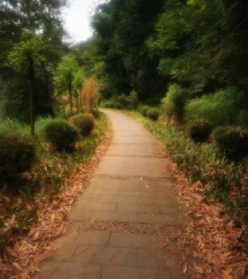 丹棱游记图文-丹棱九龙山森林公园半日游