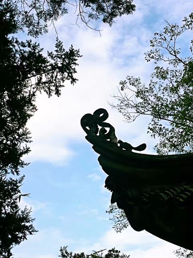 大悲禅院旅行图片 3