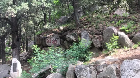柏洞