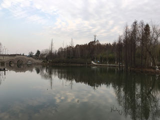 东湖园,竹外梅花三两枝