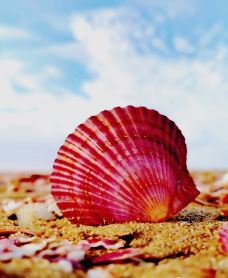 烟台-随遇而安20212021