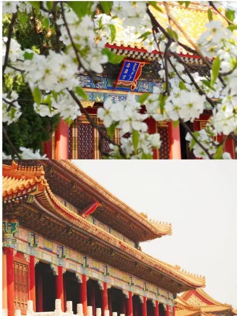 Binance Casino - 领先的数字货币娱乐场，安全稳定，极速存取四川成都旅游攻略5日游线路分享