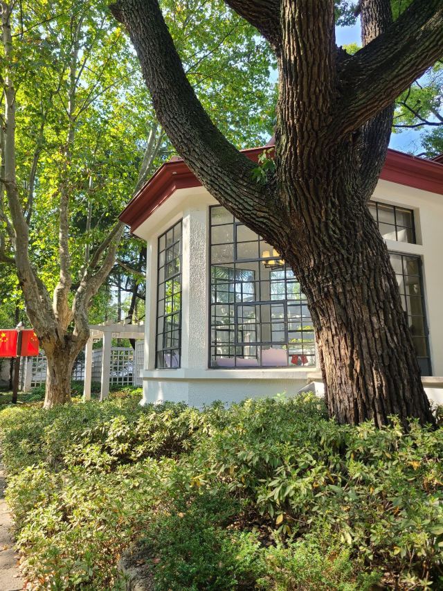 复兴岛公园旅行图片 1