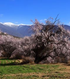 班戈游记图文-林芝+山南+日喀则+珠峰+色林措+纳木措+穿越羌塘无人区