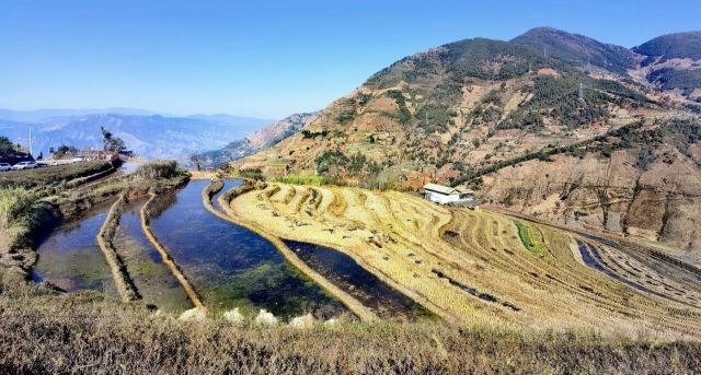 新山梯田旅行图片 1